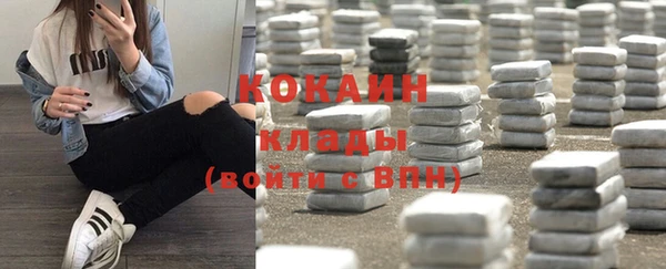 дурь Заводоуковск