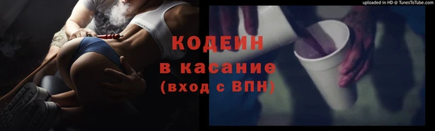 дурь Заводоуковск