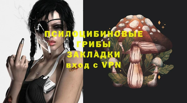 дурь Заводоуковск
