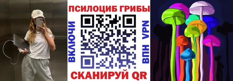 что такое   Златоуст  блэк спрут tor  Псилоцибиновые грибы Cubensis 